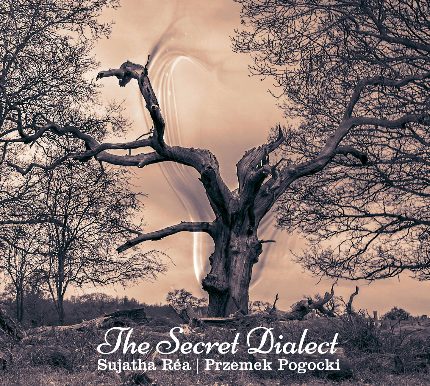 "The Secret Dialect" by Sujatha Réa & Przemek Pogocki - CD